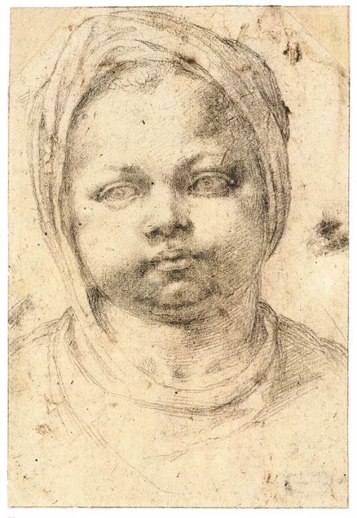Michelangelo-Buonarroti (26).jpg